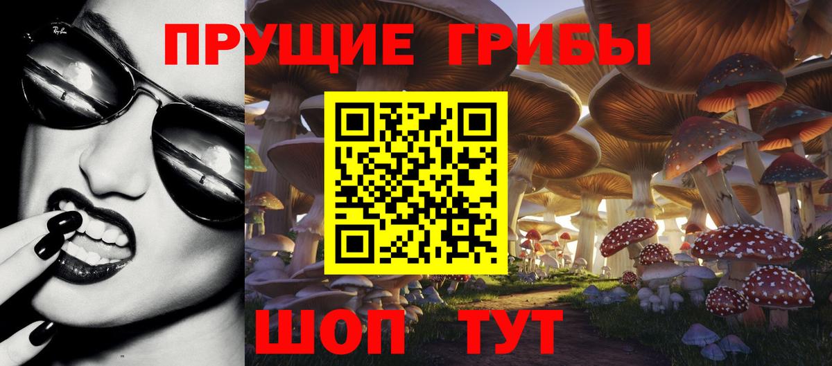 Галлюциногенные грибы Psilocybine cubensis Кыштым